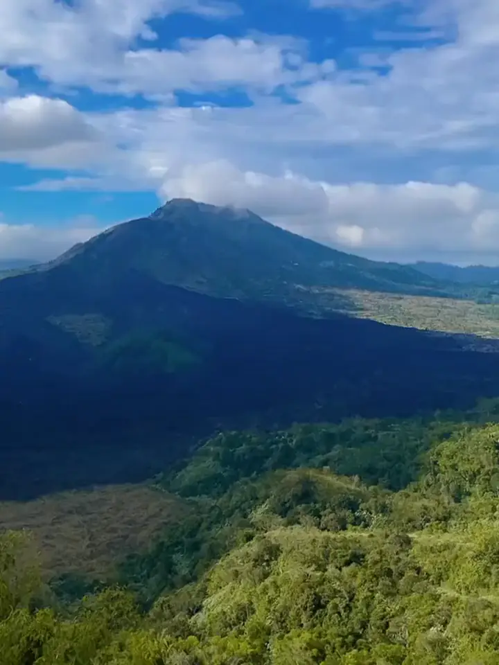 Pemandangan gunung dan hutan.