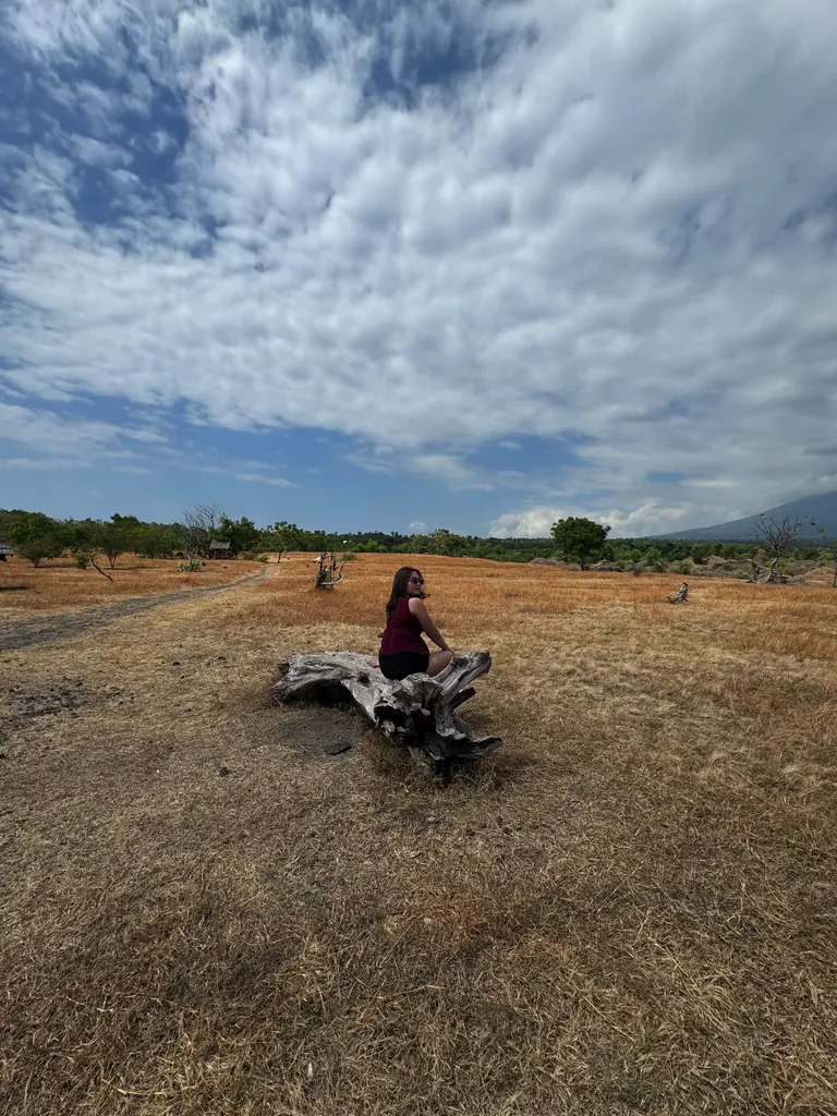 Potret di padang rumput di bawah langit berawan.